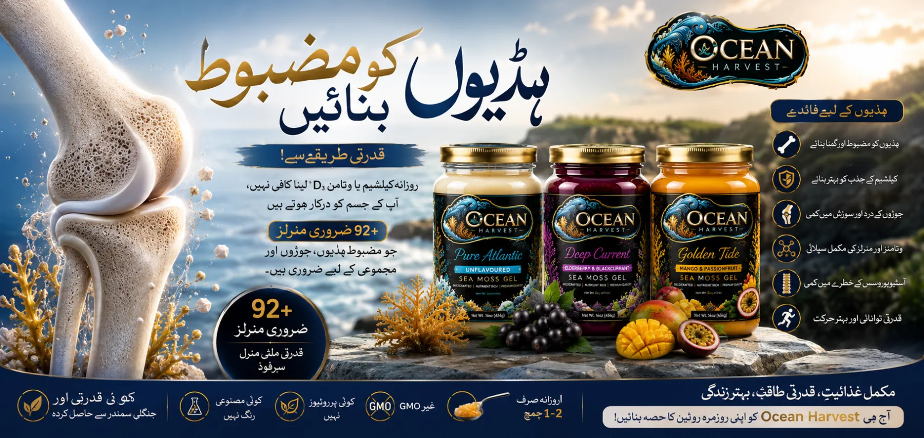 ہڈیوں کو مضبوط بنائیں — Ocean Harvest sea moss gel